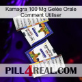 Kamagra 100 Mg Gelée Orale Comment Utiliser 12